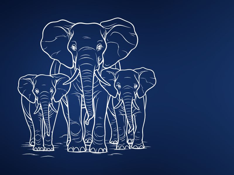 Quella maestosità che ispira saggezza  