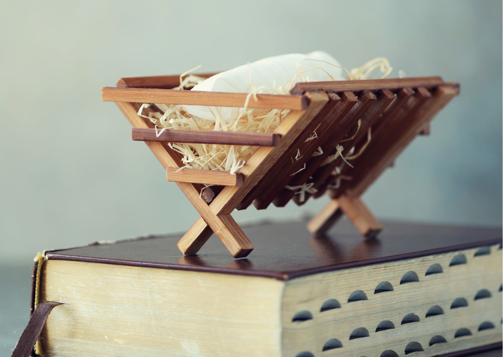 La parola fatta cane