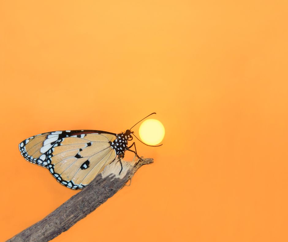 Parole che fanno sognare in grande 