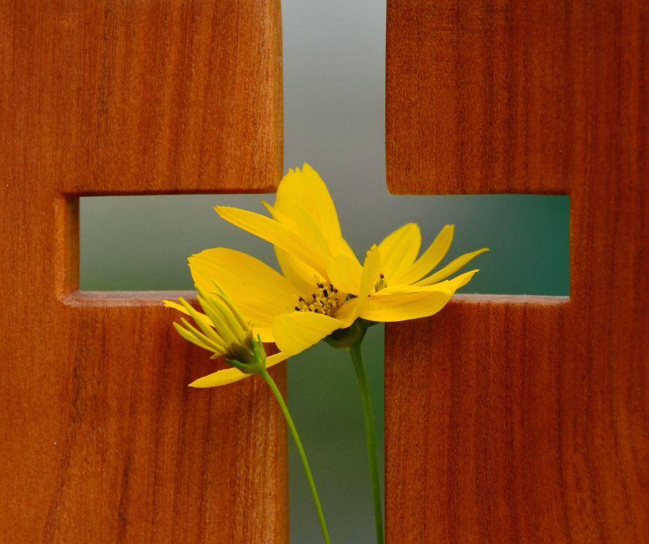 Insieme, per attraversare con speranza il dolore