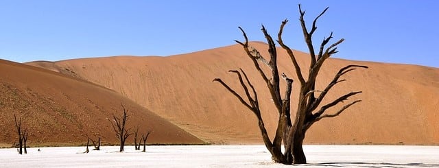 Se il digiuno rimette «in linea» con il Signore