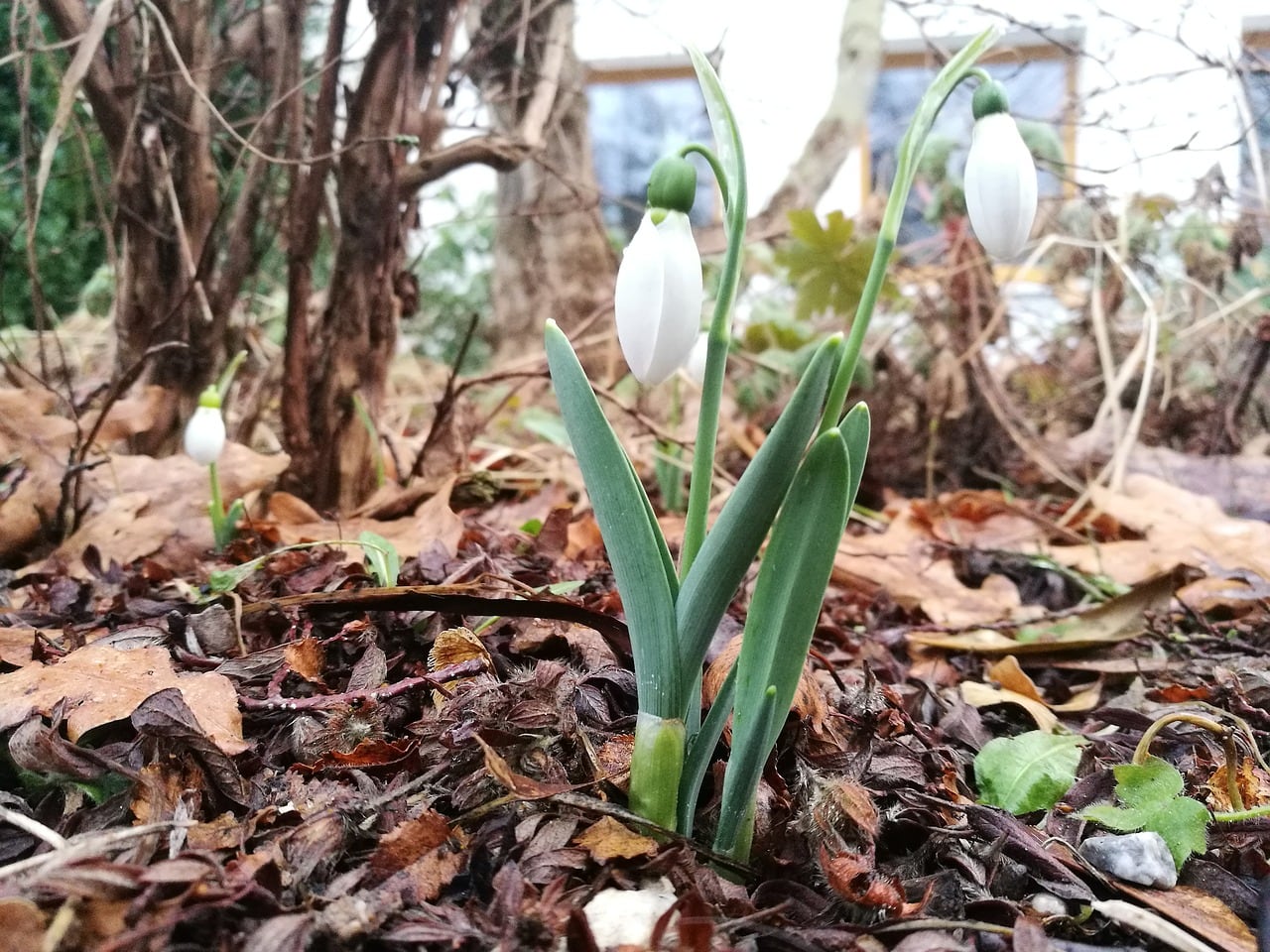 Giornata diocesana per la custodia del Creato