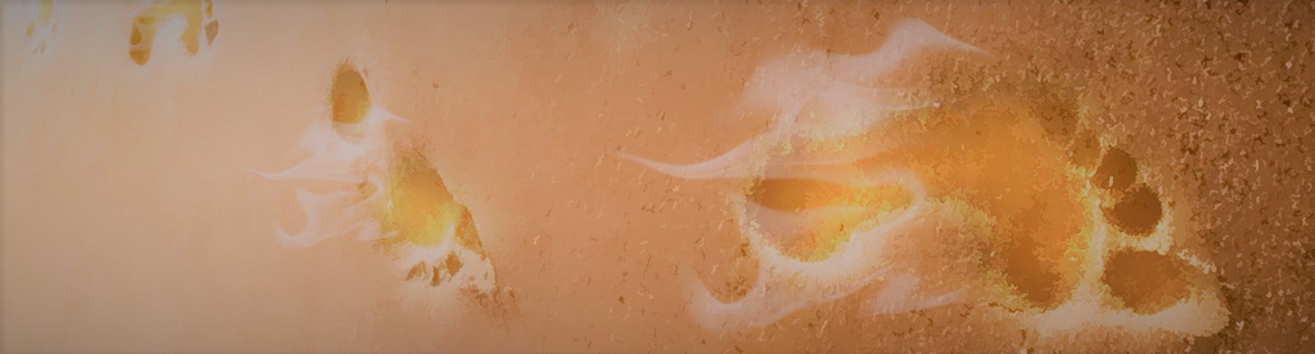 Il discepolo non detta condizioni al Maestro