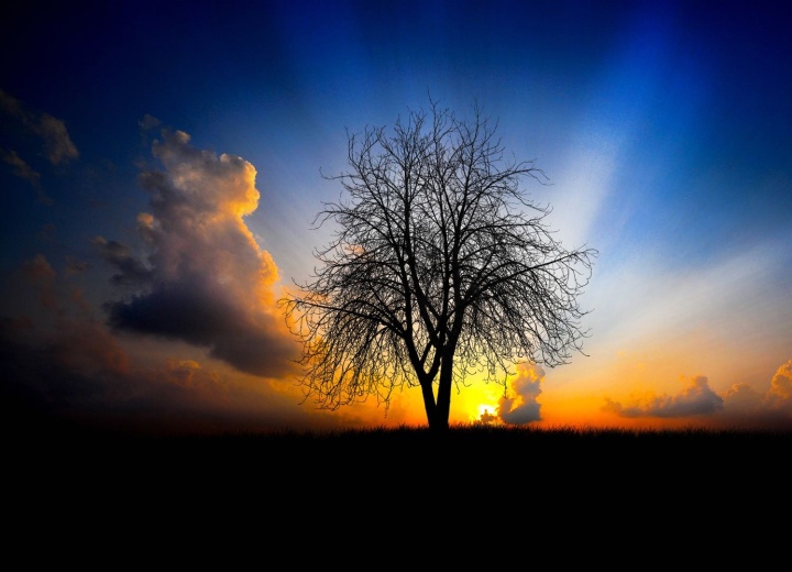 Con prudenza e coraggio creativo