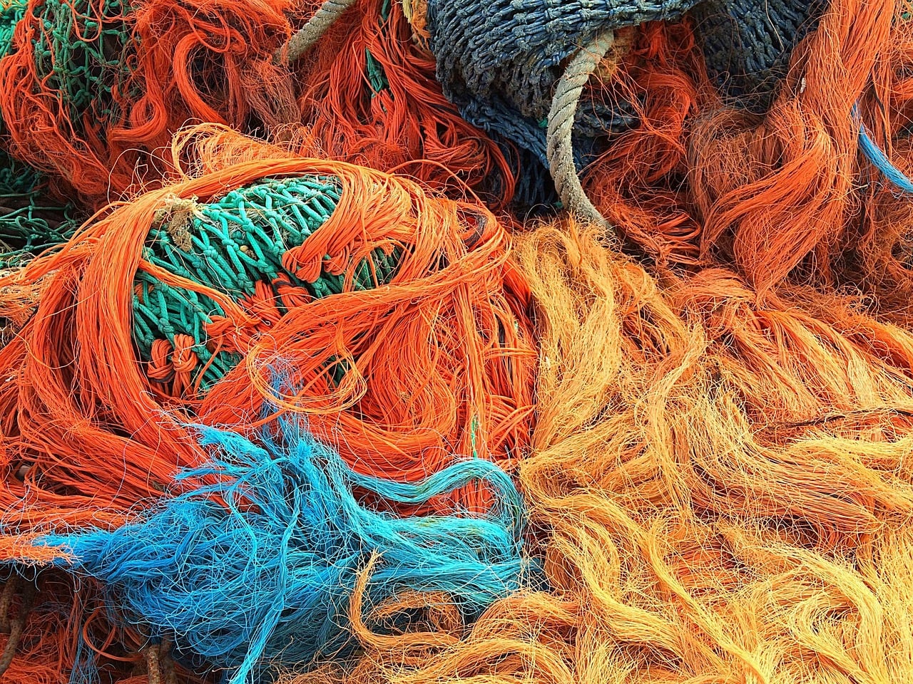 Settima giornata regionale per il Creato